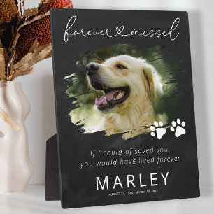 Plaque Photo Empreintes de pattes Keepsaké Pet Memorial Photo P