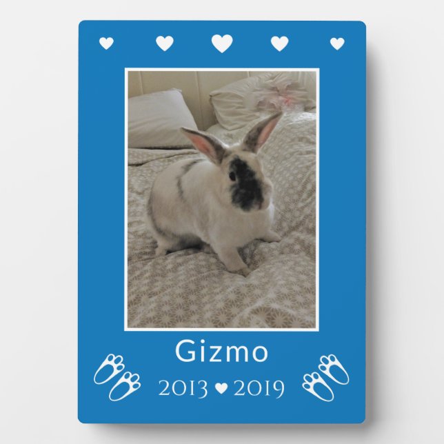 Plaque Photo Enfants Animaux de compagnie lapin lapin Perdre |  (Devant)