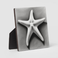Étoile de mer noire et blanche