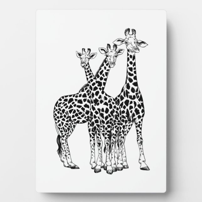 Plaque Photo Famille Giraffe (Devant)