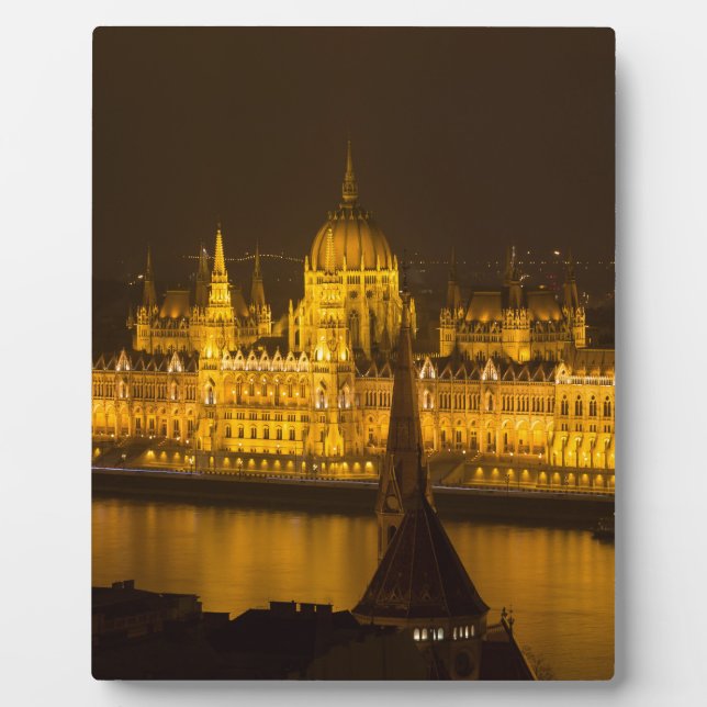 Plaque Photo Famine Parliament Budapest by night (Devant)