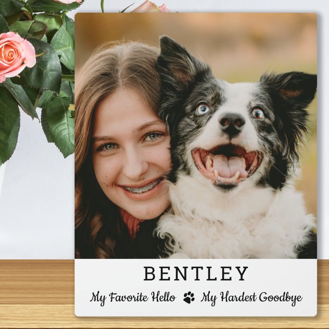 Plaque Photo Favori Hello Custom Photo Pet Dog Memorial (Créateur téléchargé)