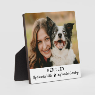 Plaque Photo Favori Hello Hardest Goodbye Pet Dog Memorial