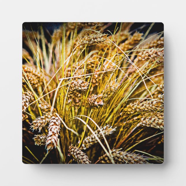 Plaque Photo Feuille De Blé - Merci (Devant)