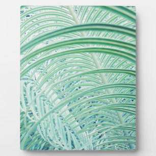 Plaque Photo Feuille de palmier de plante verte douce