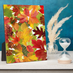 Plaque Photo Feuilles automnales d'automne