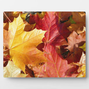 Plaque Photo Feuilles d'automne - Etonnant!