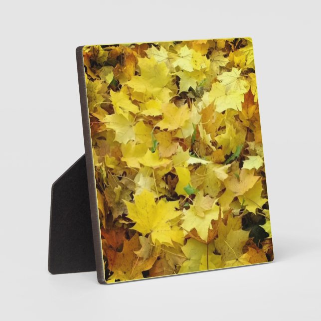 Plaque Photo Feuilles d'automne jaunes (Recto)