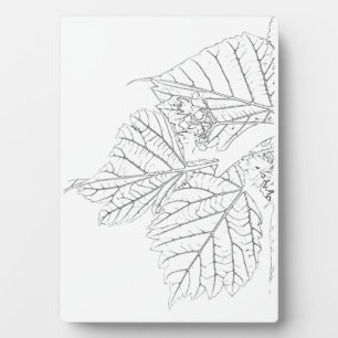 Plaque Photo Feuilles de Basswood