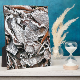 PLAQUE PHOTO FEUILLES HIVER