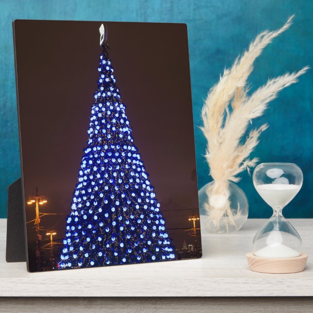 Plaque Photo Feux bleus sapin (Côté)