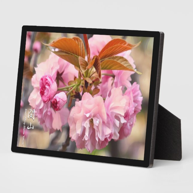 Plaque Photo Fleur de cerise double : Kanzan (Côté)