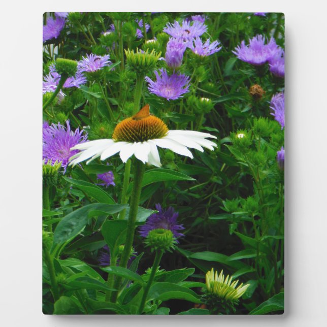 Plaque Photo Fleur de cône blanc, fleurs pourpres et papillon (Devant)