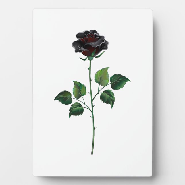 Plaque Photo Fleur de rose noire (Devant)