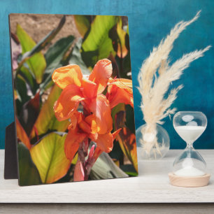 Plaque Photo Fleur d'orange exotique