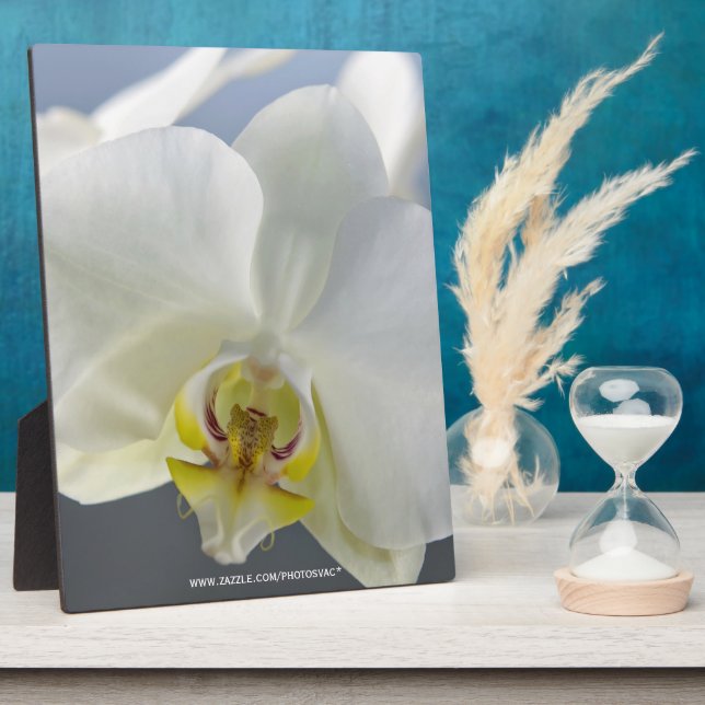 Plaque Photo Fleur d'orchidée blanche (Côté)