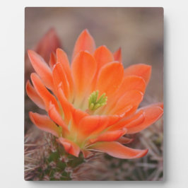 Plaque Photo Fleur en orange