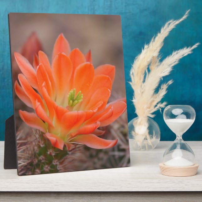Plaque Photo Fleur en orange (Côté)