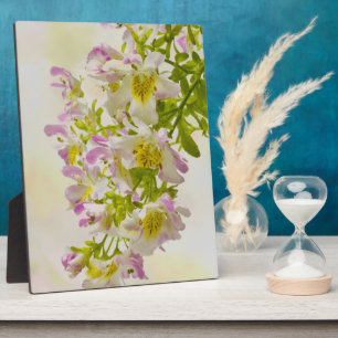 Plaque Photo Fleurs papillons