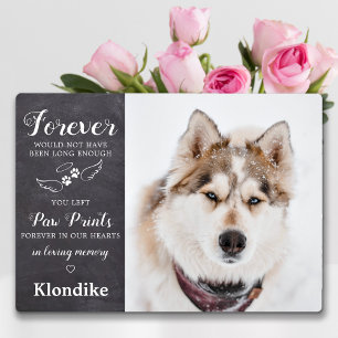 Plaque Photo Forever In Loever Mémoire Personnalisée Photo Pet 