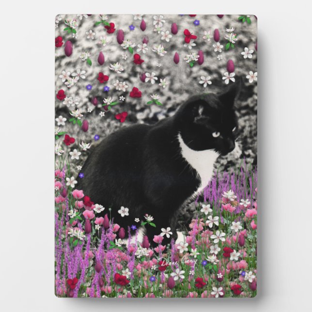 Plaque Photo Frappes en Fleurs II - Tuxedo Kitty Cat (Devant)