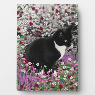 Plaque Photo Freckles in Flowers II - Tuxedo Kitty Cat