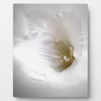 frénésie blanche