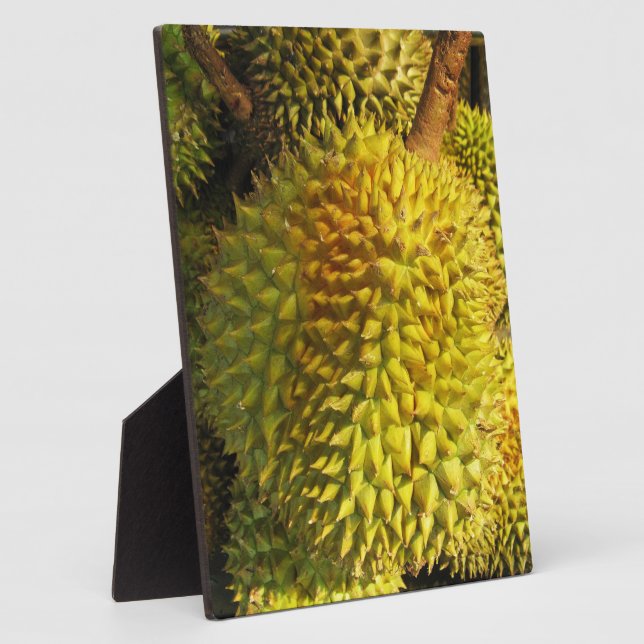 Plaque Photo Fruit durian (Côté)
