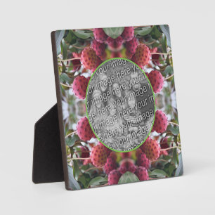 Plaque Photo Fruits de Dogwood Nature Créez votre propre photo