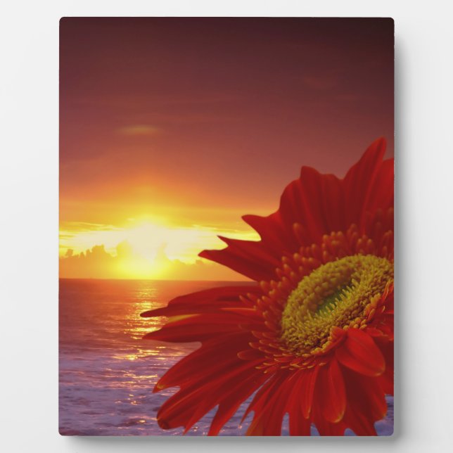 Plaque Photo Gerber Daisy et coucher du soleil (Devant)