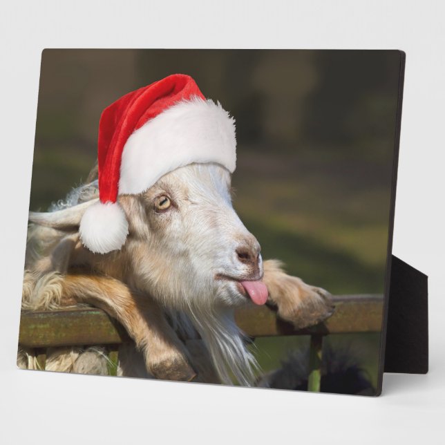 Plaque Photo Goat (Côté)