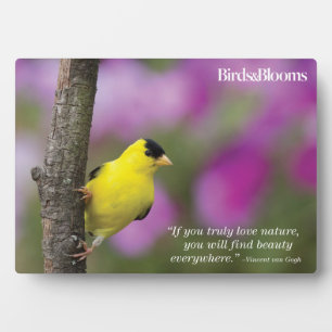 Plaque Photo Goldfinch