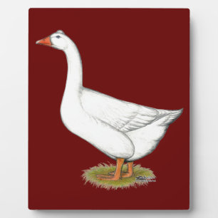Plaque Photo Goose Roman Tufted