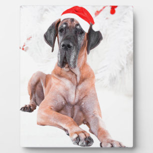 Plaque Photo Grand chien Danse Casquette Joyeux Noël