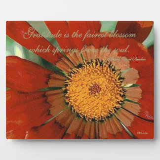 Plaque Photo Gratitude Gazania