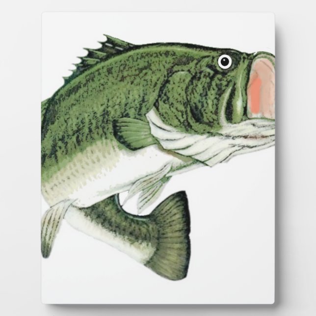 Plaque Photo Gros Basse Bouche (Devant)