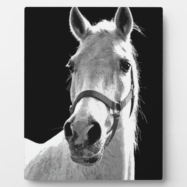 Plaque Photo Gros plan Cheval blanc noir en nuit (Devant)