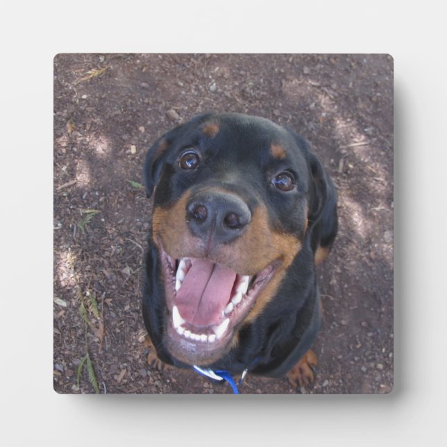 Plaque photo Happy Heidi Rottweiler (Devant)