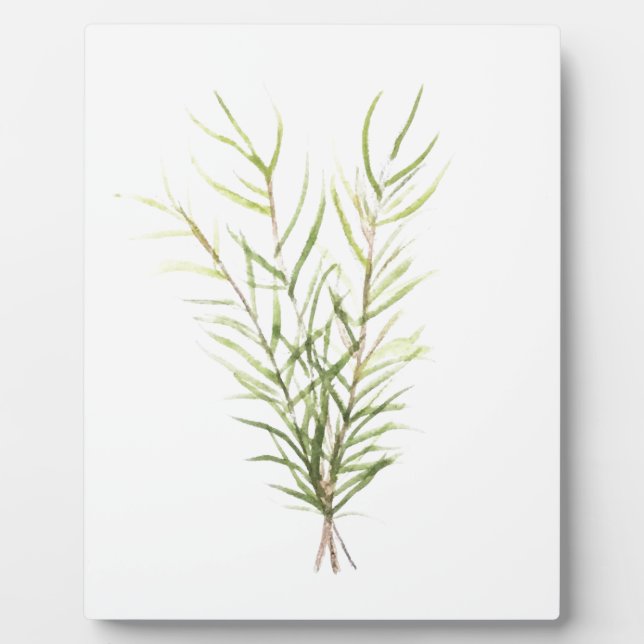 Plaque Photo Herbes de romarin (Devant)