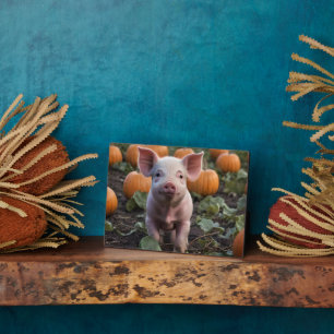 Plaque Photo Heureux Comme Un Cochon Bébé Dans Un Patch Citroui