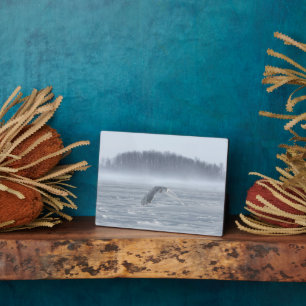 Plaque Photo Hibou des neiges en vol en hiver