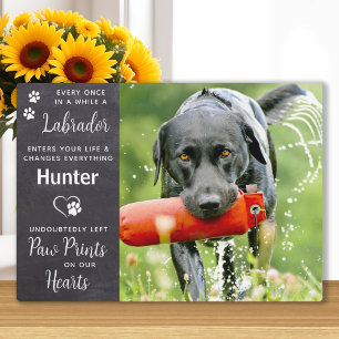 Plaque Photo Homet Chien Labrador Retriever Memorial