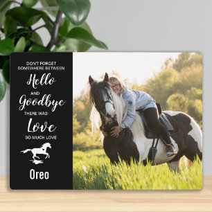 Plaque Photo Horse Memorial Keepsaké Sympathy Pet Loss Memorial