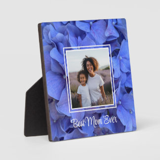 Plaque Photo Hortensias floraux élégants bleu pervenche