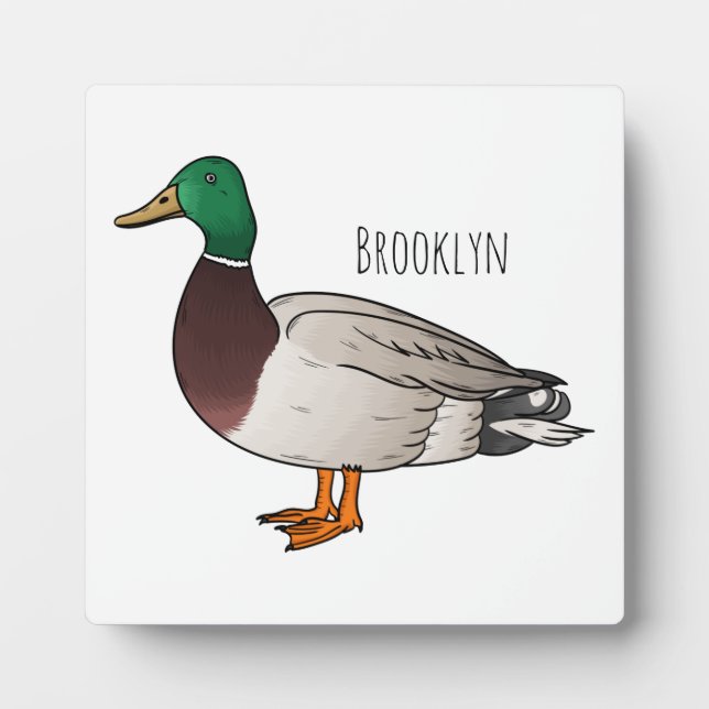 Plaque Photo Illustration du canard de Majard (Devant)