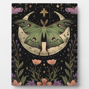 Plaque Photo Illustration du ciel nocturne gothique