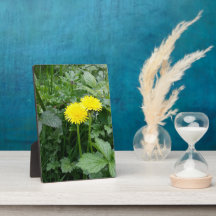 Impression de toile étirée