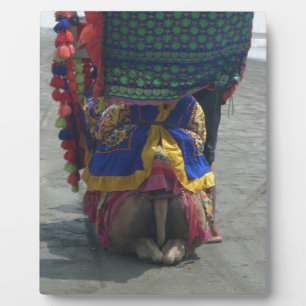 Plaque Photo Imprimé/graphique en forme de chameau