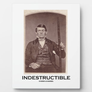 Plaque Photo Indestructible (Phineas Gage)