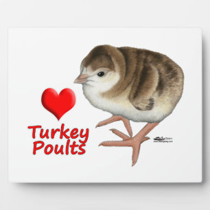Plaque Photo J'Aime Les Volets De Turquie !